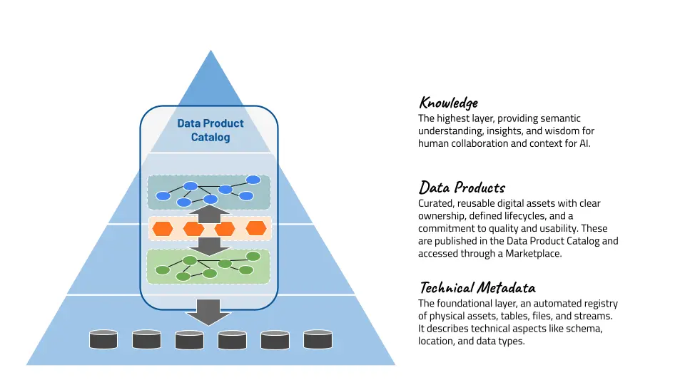 Information Plane Layers