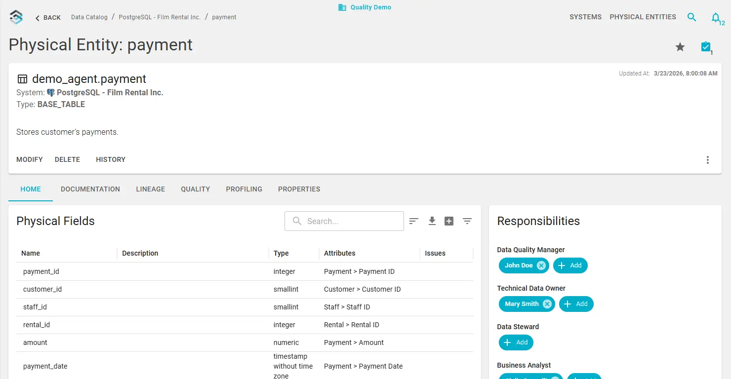 Data Catalog: physical entity detail with fields and responsibilities